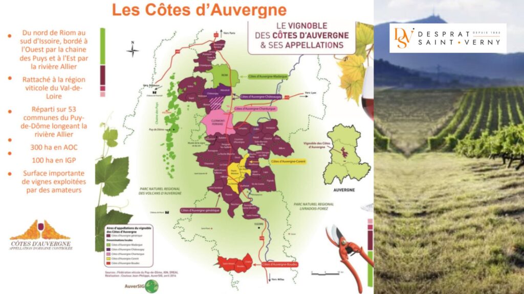 Carte viticole Côtes d'Auvergne