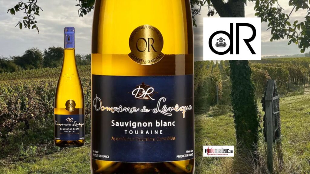 Pourquoi le Sauvignon Domaine de Lévêque séduit autant : découvrez le Domaine de la Renne