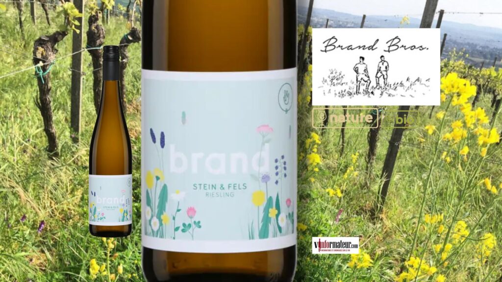 🍋 Ce Riesling bio allemand à 23 $ est l&rsquo;une des belles découvertes de l&rsquo;été!