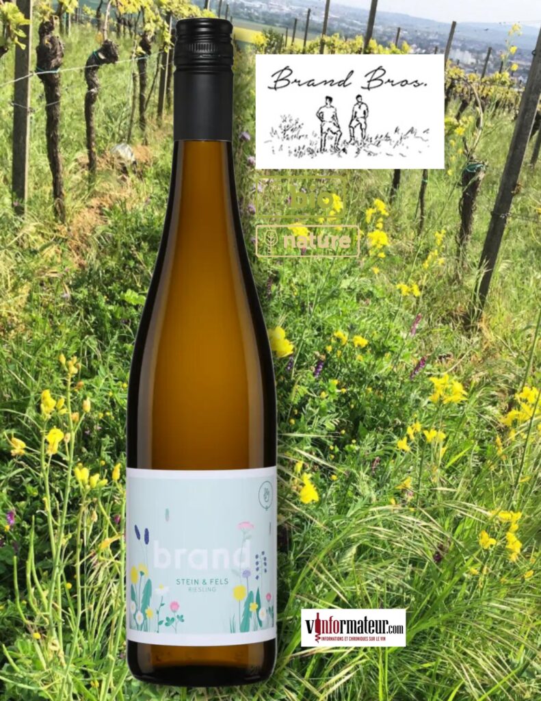 Weingut Brand, Riesling, Allemagne, Landwein, Stein & Fels, vin blanc bio/nature, 2024 bouteille