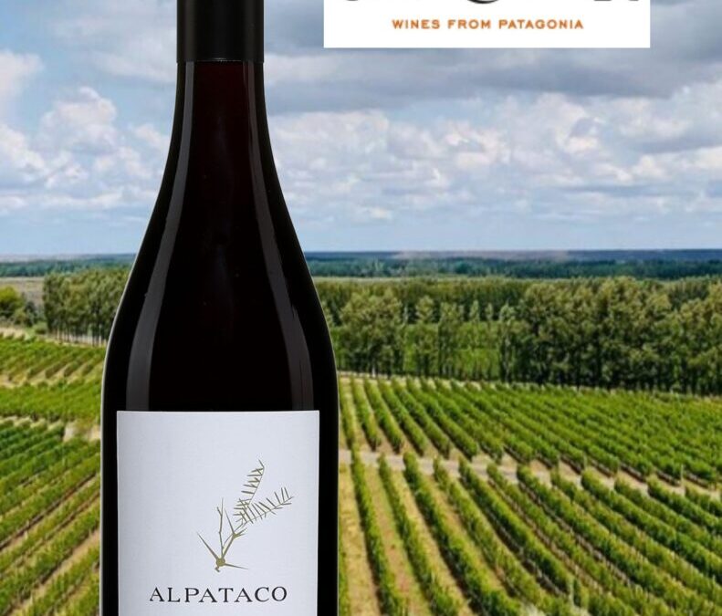 Excellent rapport qualité/prix que ce Alpataco Pinot Noir 2021!