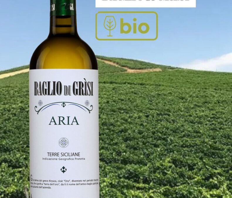 Un Chardonnay bio goûteux et bien aromatique. Aria de Baglio di Grisi 2021.