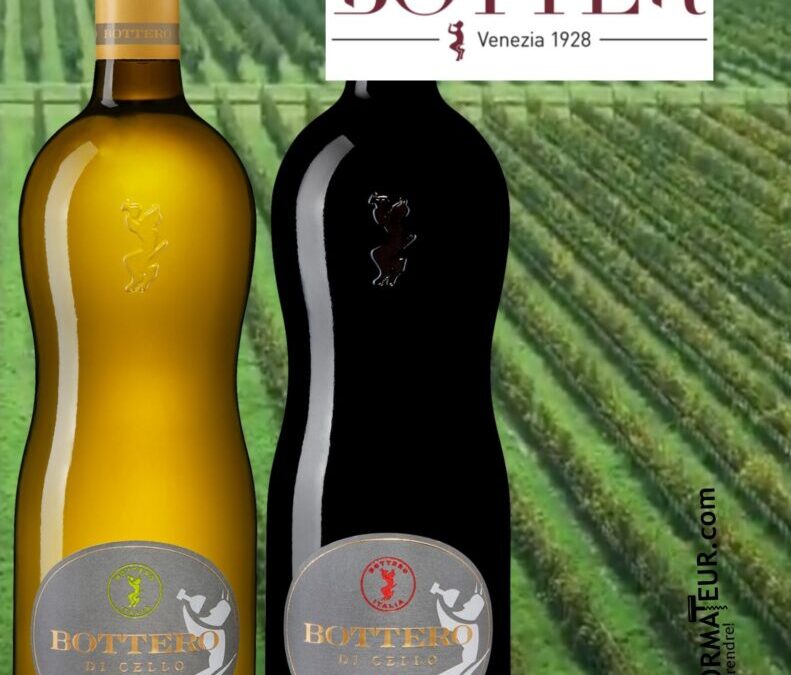 Beaux, bons, et vraiment pas chers! Bottero rouge et blanc, 2020.