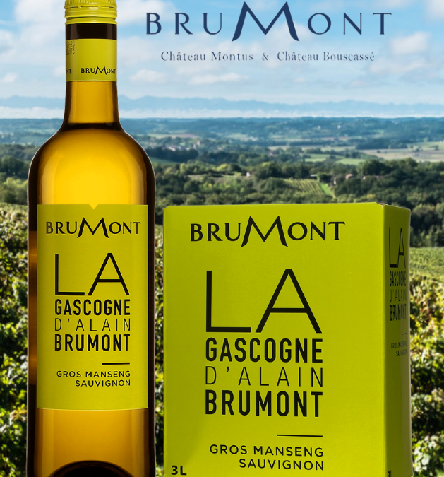 Côtes de Gascogne d’Alain Brumont! Excellent rapport qualité/prix.