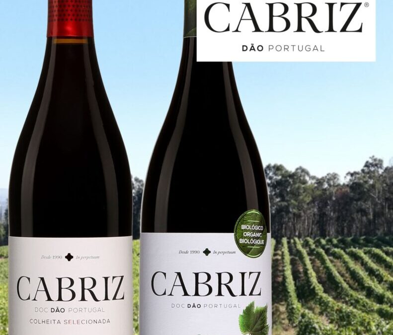 Les vins du Portugal de la maison Cabriz!