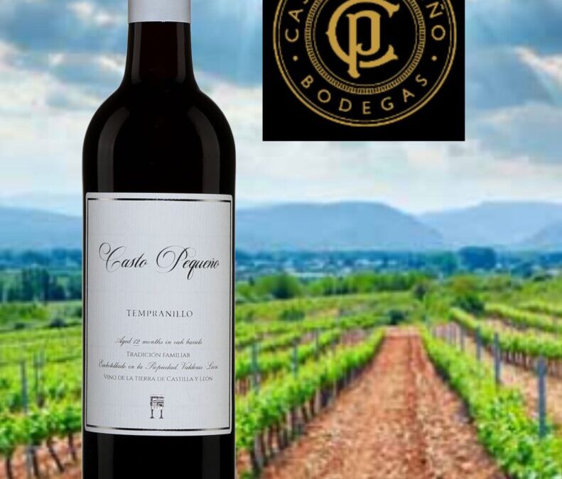 Casto Pequeno, un vin rouge d’Espagne des plus polyvalent!
