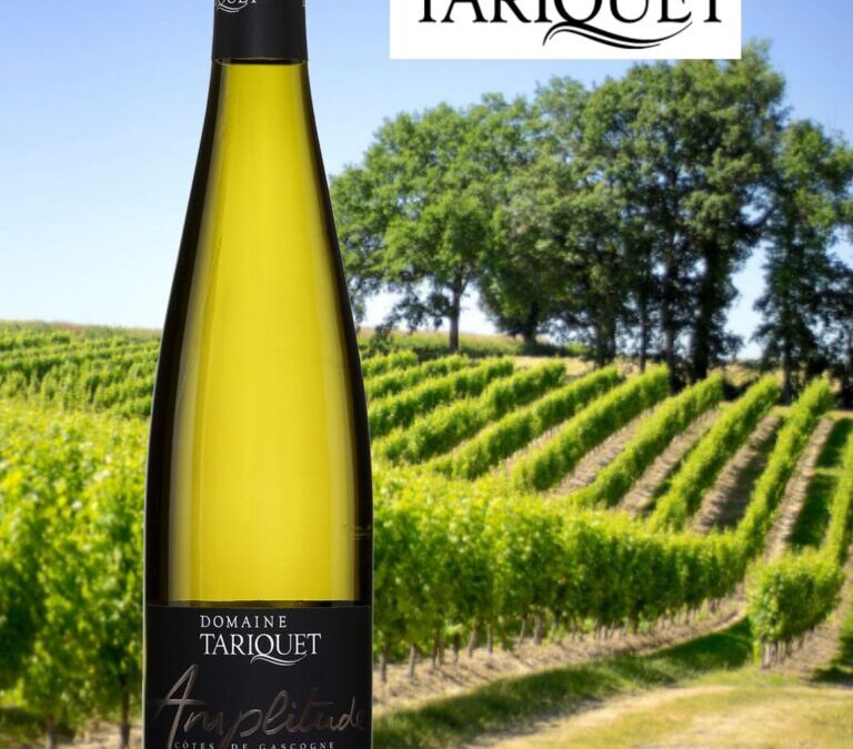 Charmeur, goûteux et aromatique! Amplitude, 2021 Domaine Tariquet.