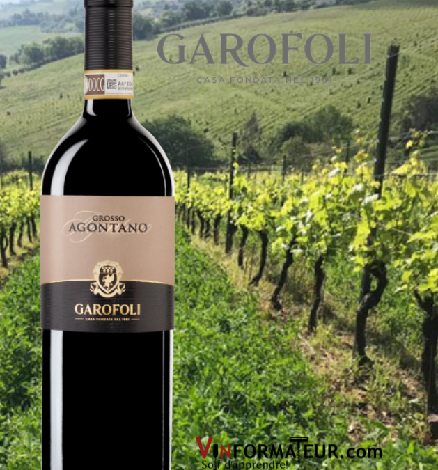 Une belle découverte que ce Grosso Agontano de Garofoli!
