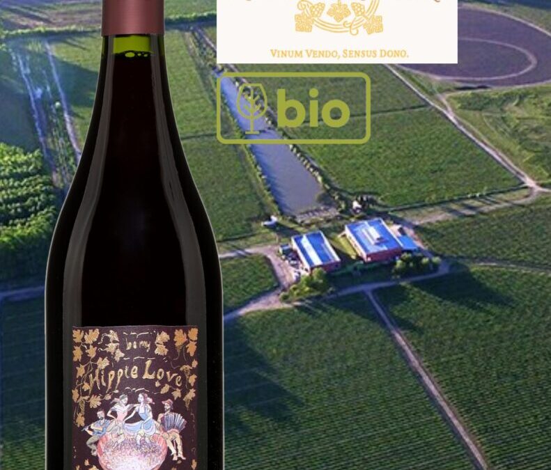 Un vin rouge argentin bio, différent, goûteux et bien fruité! Hippie Love, Tinto, 2020.