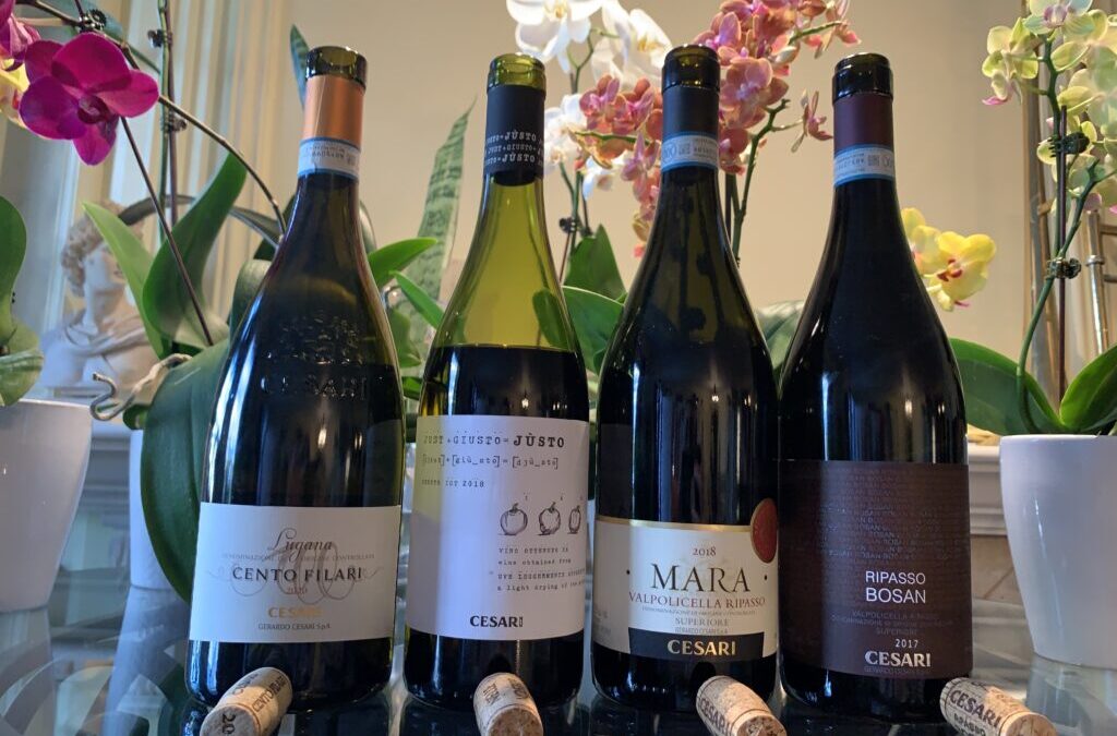 Goûtez la richesse et la générosité des vins de la maison Gerardo Cesari!