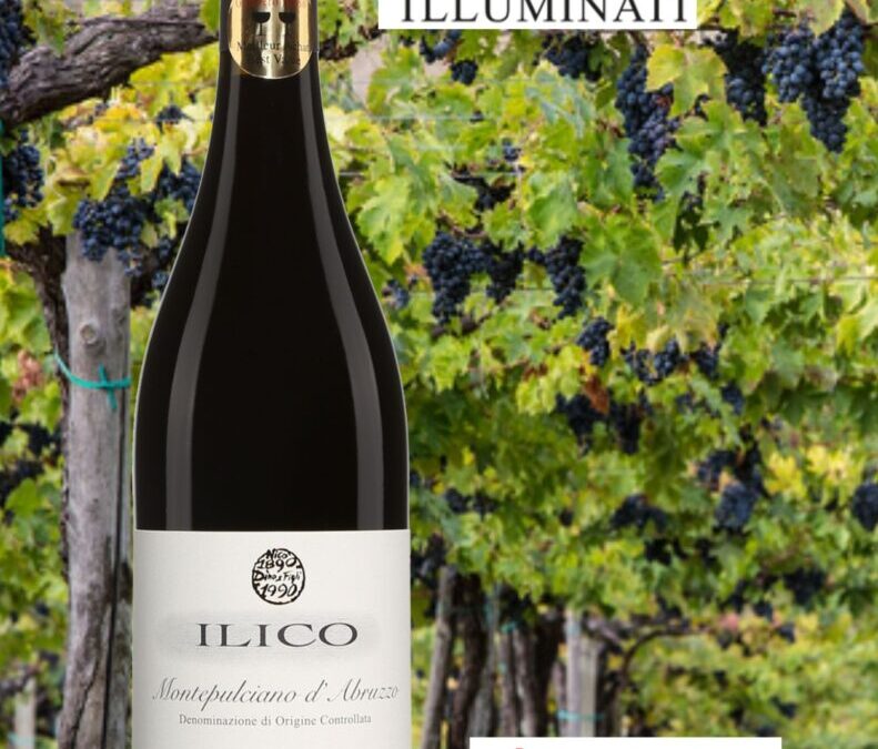 Un vin rouge que j’ai particulièrement apprécié! Ilico, Montepulciano d’Abruzzo, 2020.