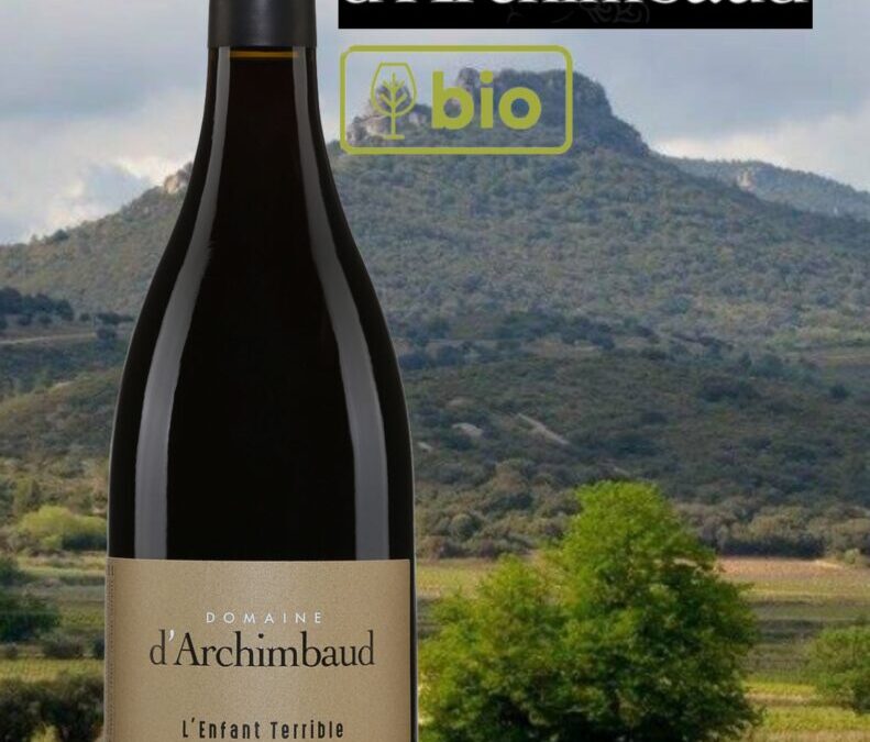 Étonnant ce vin rouge bio l&rsquo;Enfant Terrible du Domaine d’Archimbaud!