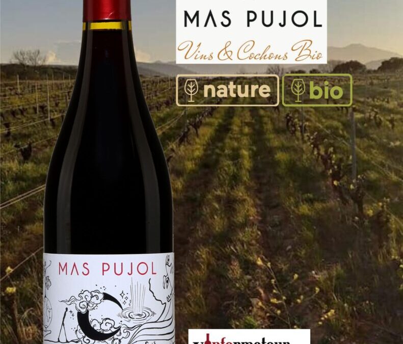 L’Imprévu bio/nature de Mas Pujol. Du fruit, du fruit et du fruit!