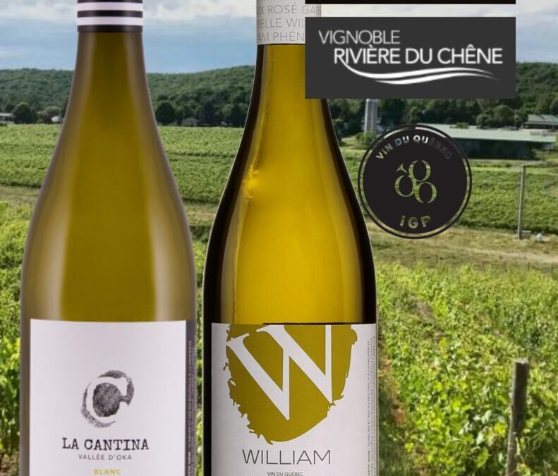 Deux très beaux vins blancs du Québec issus du millésime 2021!