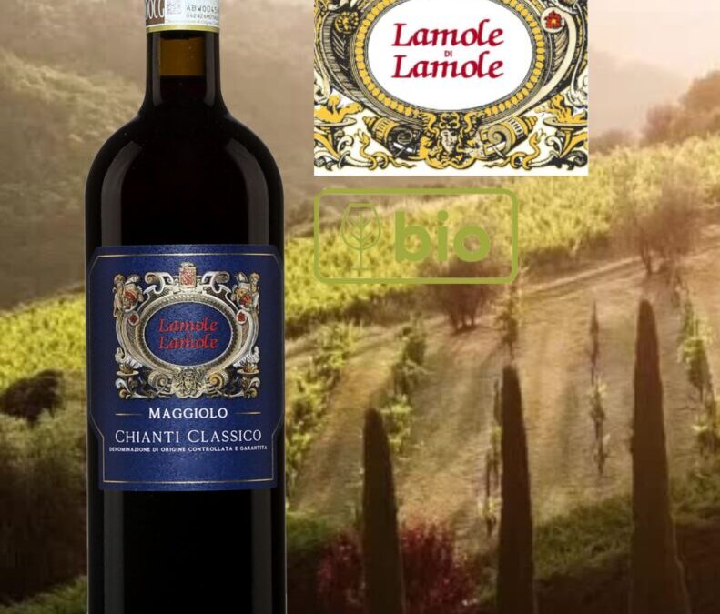 Maggiolo, Lamole di Lamole, Chianti Classico, 2020.