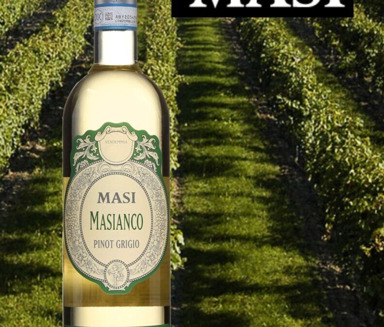 Un Pinot Grigio éclatant de saveurs! Masianco 2020.