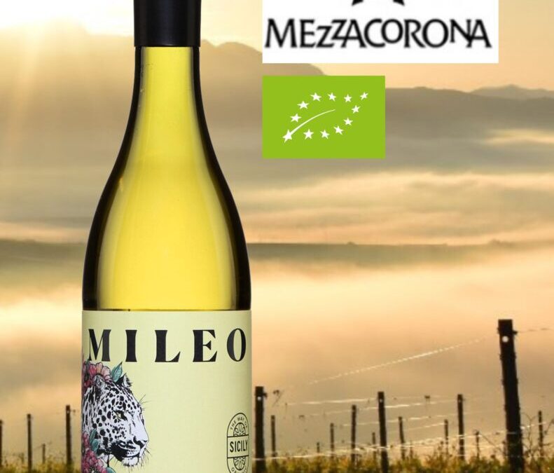 Un beau vin blanc bio de la Sicile. Mileo 2020.