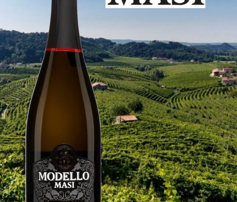 Des bulles pour la St-Valentin! Modello Prosecco Brut.