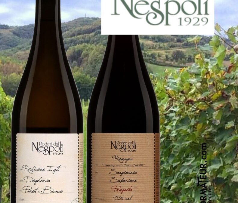 Découvrez les vins d’Émilie-Romagne de la maison Poderi dal Nespoli!