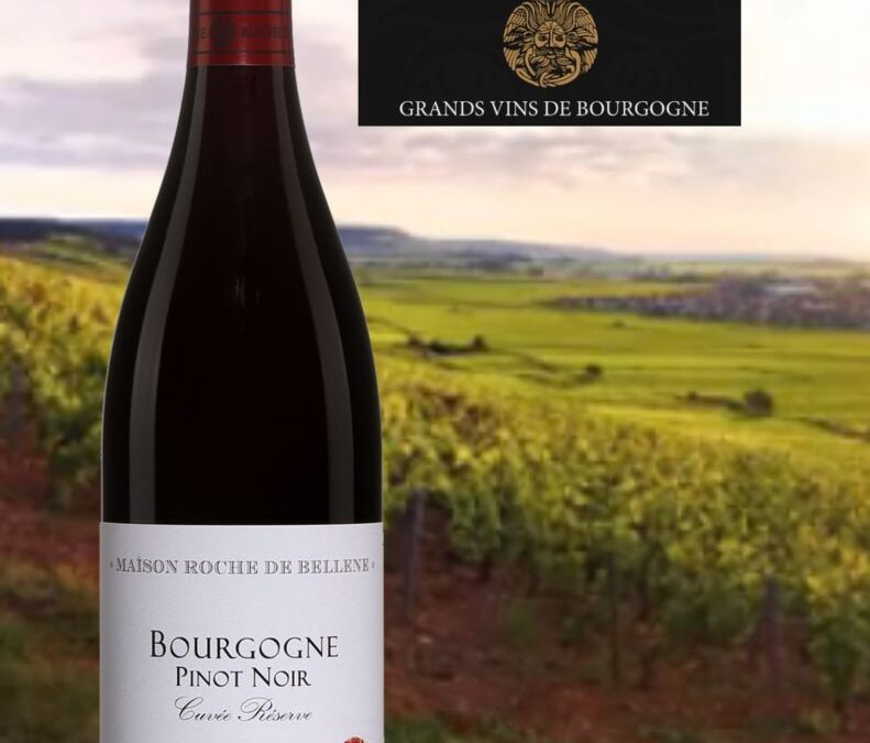 On achète ce Bourgogne!