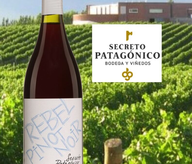 Rebel, résolument Pinot Noir d’Argentine!