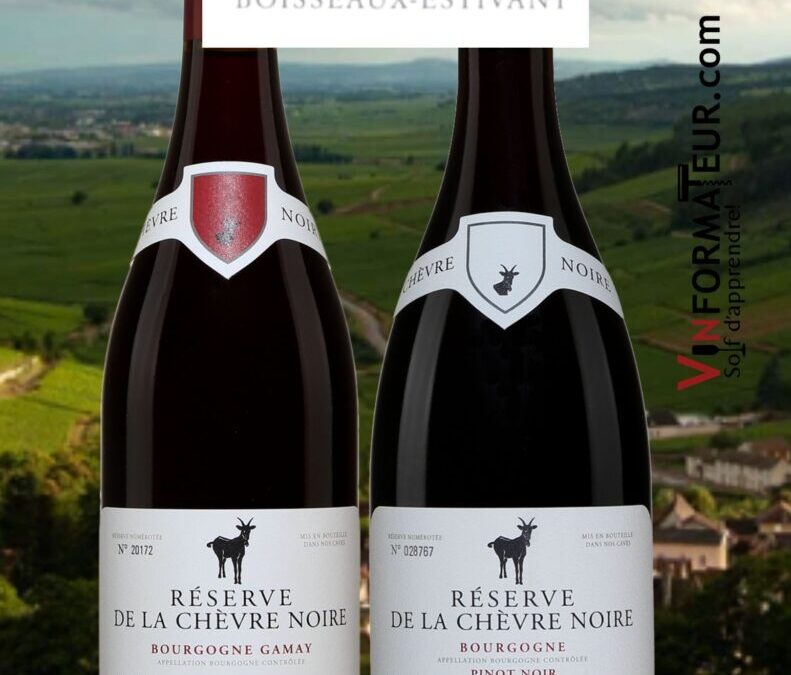 Les vins Réserve de la Chèvre Noire en Gamay et Pinot Noir.