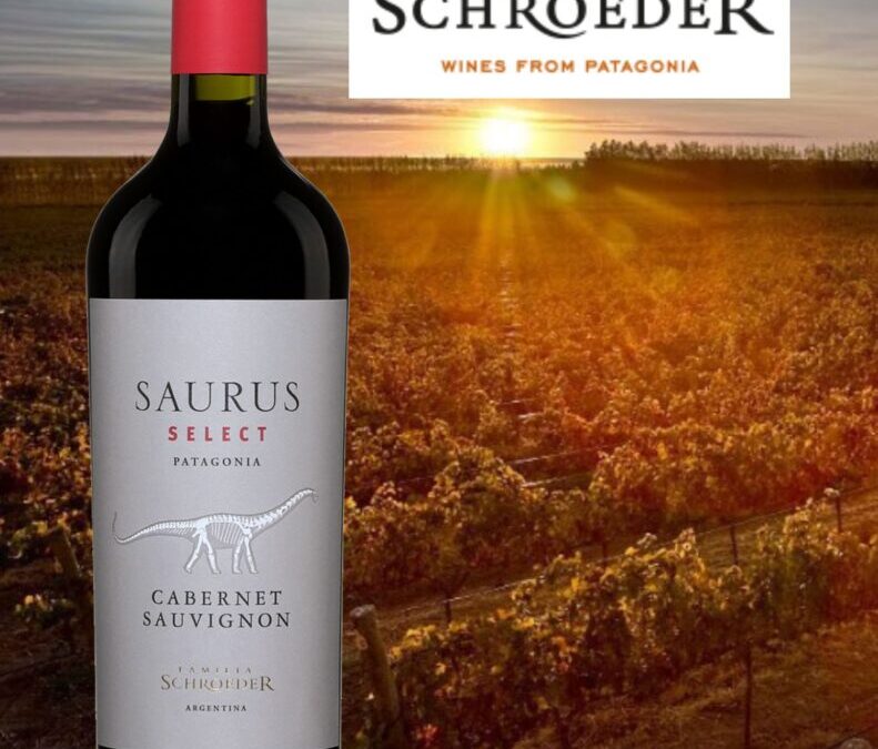 Un délicieux Cabernet-Sauvignon de Patagonie! Saurus Select 2020.