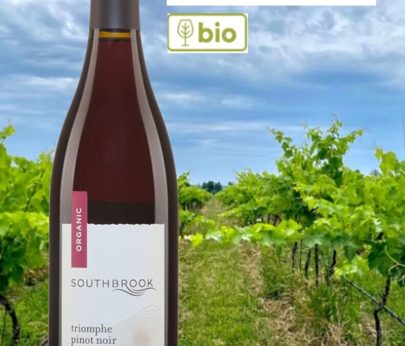 Pinot Noir, bio, Triomphe, Southbrook, 2019.