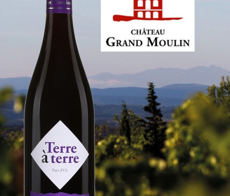 Terre à terre, Pays d’Oc. Un rapport qualité/prix dur à battre!