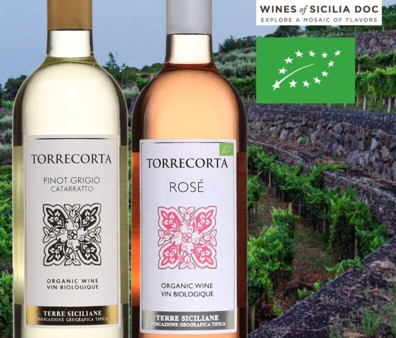 Des vins bio de la Sicile à des prix durs à battre!