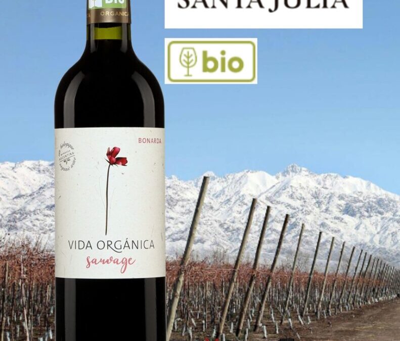 Délicieux, goûteux, tout en fraîcheur et bio ce Bonarda d’Argentine! Vida Organica 2020.