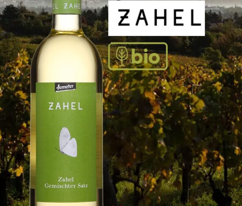 Absolument croquant, juteux et aromatique ce vin blanc bio Zahel d’Autriche.