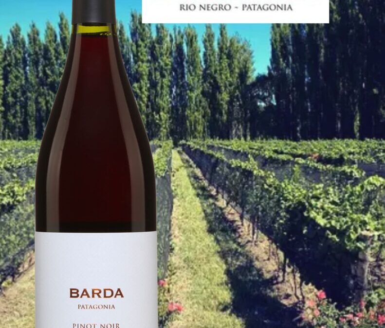 Éclatant Pinot Noir d’Argentine! Barda 2021.