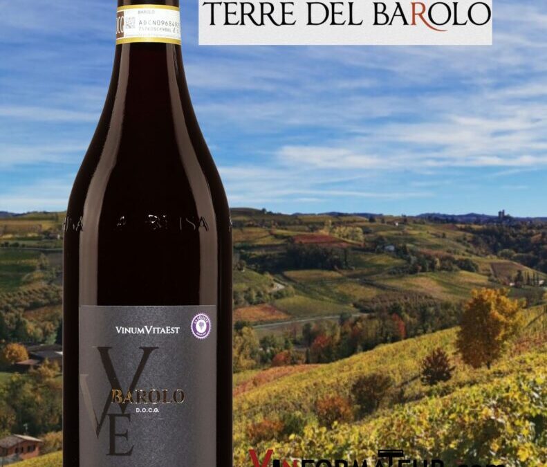 Un Barolo distingué à prix raisonnable. Terre del Barolo 2018.