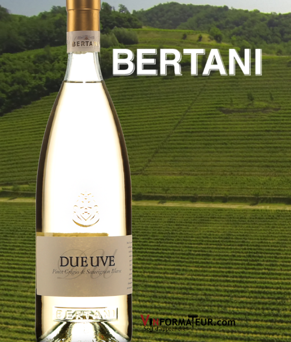 Due Uve, vin blanc du Frioul! Le meilleur du Pinot Grigio et du Sauvignon blanc.