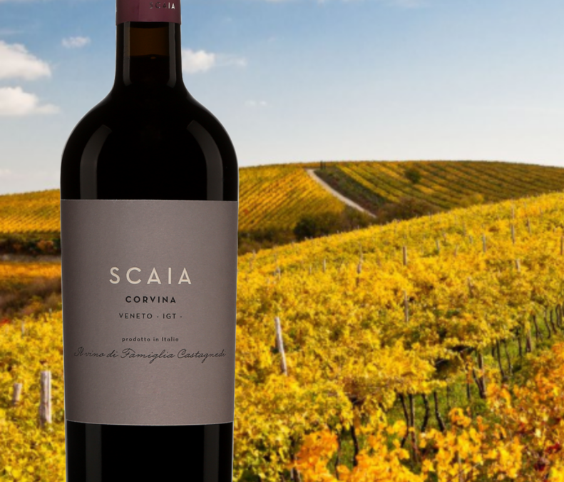 Découvrez l’étonnant Scaia, Corvina, Veneto 2018!