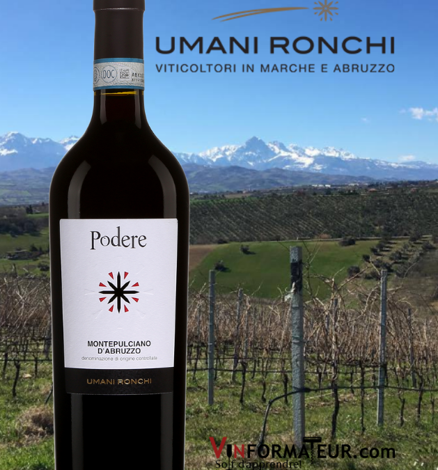 Podere, Montepulciano d’Abruzzo 2019. Un excellent rapport qualité/prix!