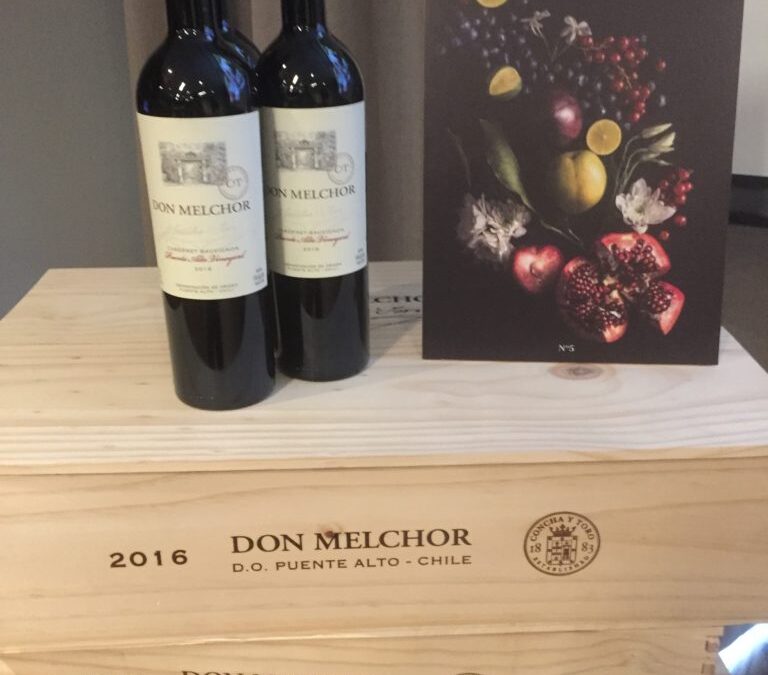 Don Melchor, la quintessence du Cabernet-Sauvignon au Chili!