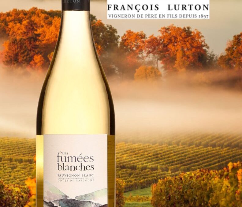 Un Sauvignon Blanc pur, éclatant et goûteux! Les Fumées Blanches, 2022.