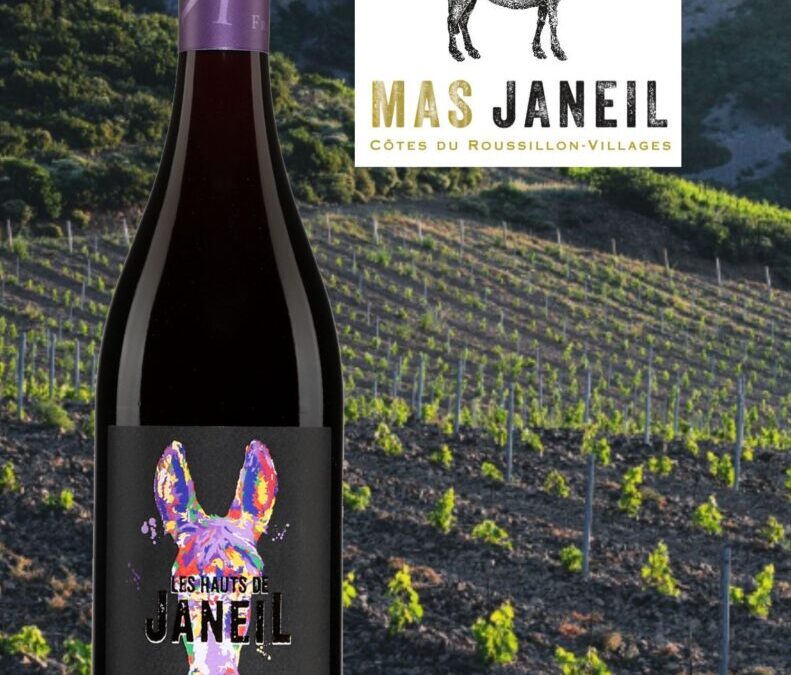 Les Hauts de Janeil, Syrah et Grenache 2020, sous la barre des 15$!