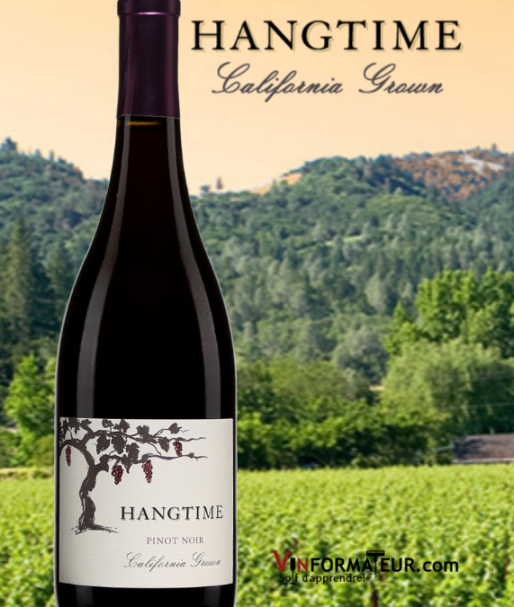 Hangtime Pinot Noir 2018. Un vin rouge qui a de la personnalité!