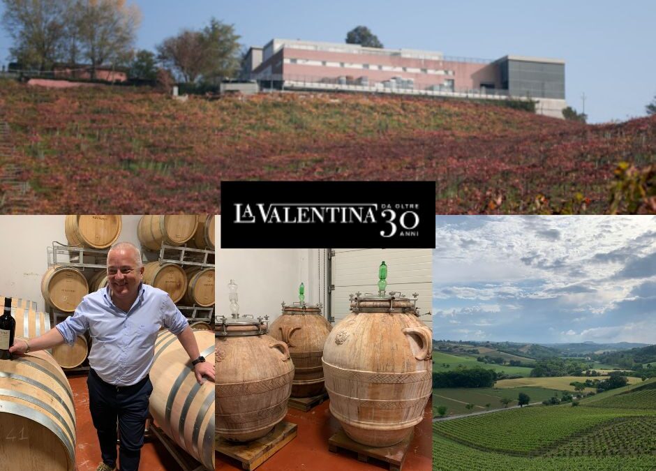 Une belle rencontre au vignoble Fattoria La Valentina, Abruzzes.