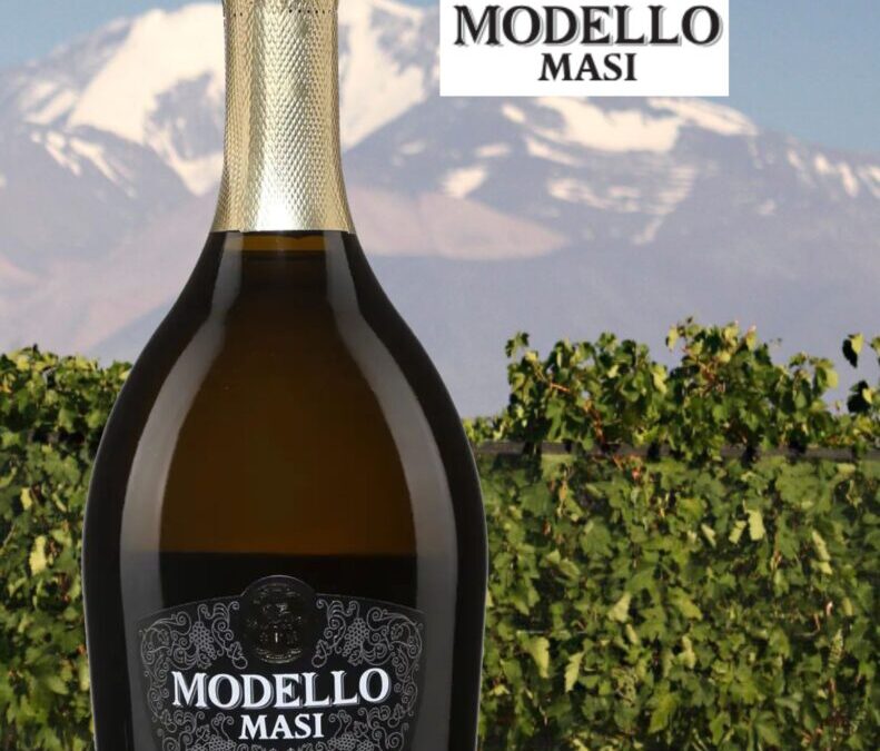Un délicieux Prosecco DOC tout en fraîcheur! Modello, Masi.