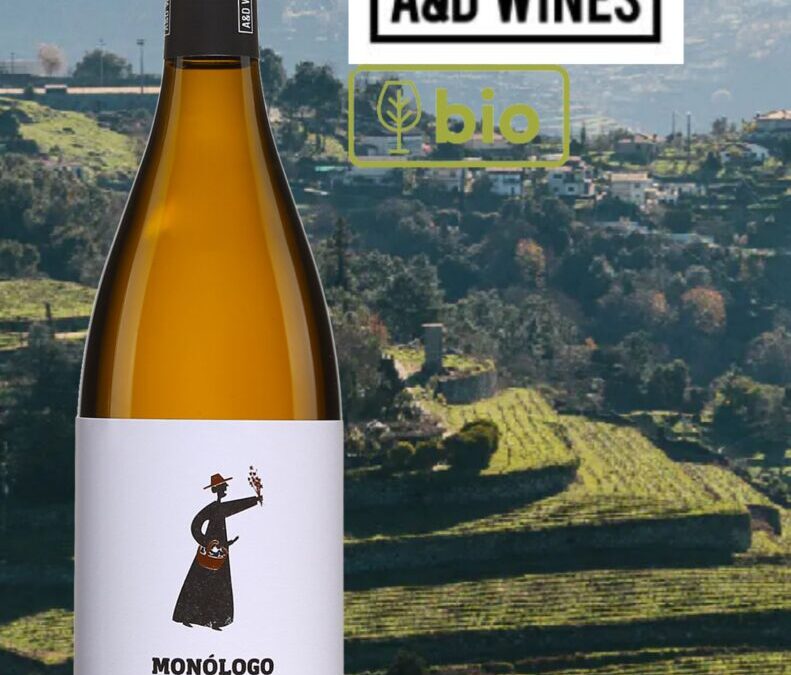Un Vinho Verde bio d’une précision étonnante! Monologo, Arinto, 2022.