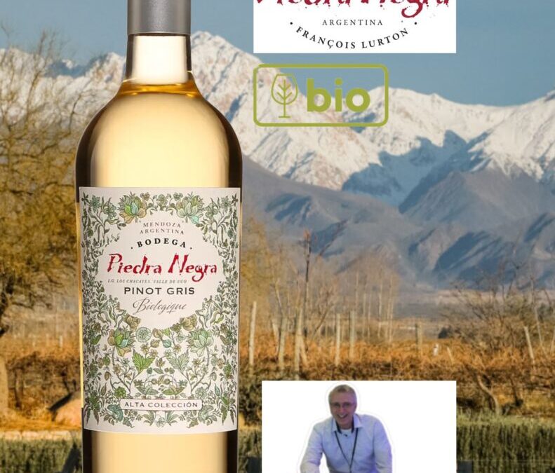 Un très beau Pinot Gris d’Argentine tout en fraîcheur! Piedra Negra, 2023.