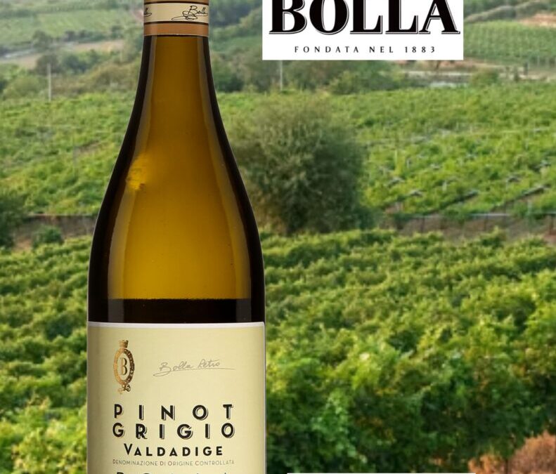 Un Pinot Grigio éclatant de fraîcheur! Bolla, Rétro, Valdadige 2022.