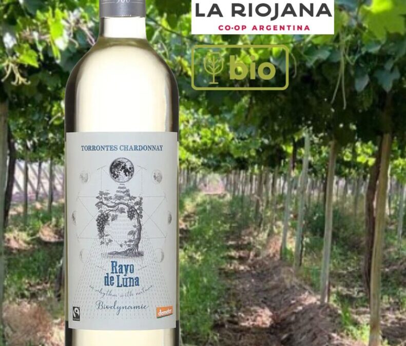 Ce vin blanc bio d&rsquo;Argentine Rayo de Luna offre excellent rapport qualité/prix!