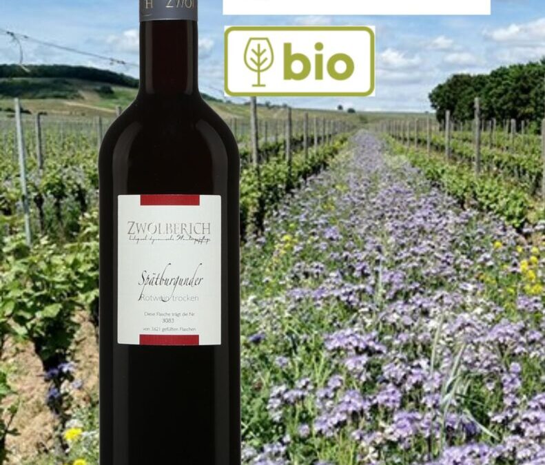 Spatburgunder/ »Pinot Noir » bio d&rsquo;Allemagne. Zwolberich 2018