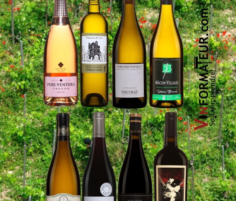 Vos vins de la semaine!